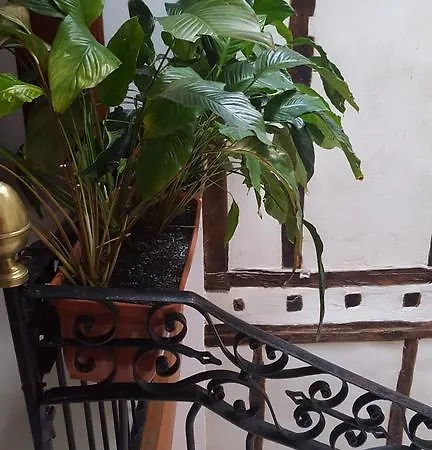 Rural Martin Hotel 3*