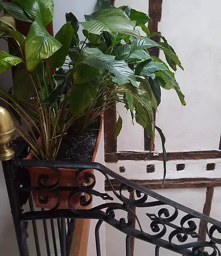 Hotel Rural Martin Hotel 3*