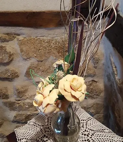 Rural Martin 酒店 巴尼奥斯德蒙特迈奥尔